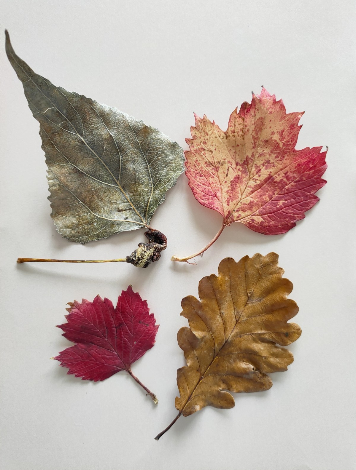 On an autumnal&nbsp;note…